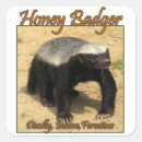 Search for badgers labels Animal