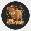 Search for highland cow stickers Autumn