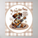 Search for ukulele posters Uke
