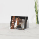 Search for horse lover cards Equestrian