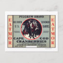 Search for pilgrim postcards Cape