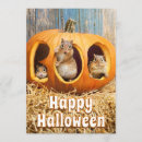 Search for jackolantern invitations Cute