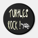 Search for funny turtle magnets Turtles