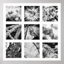 Search for different art White