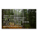 Search for birch tree business cards Forest