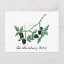 Search for patches postcards Nature