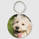 Search for goldendoodle key rings Cute