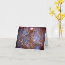 Search for winters note cards Animal