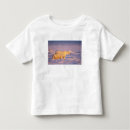 Search for ice pack tshirts Marine mammal