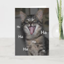Search for hospital get well cards Cat