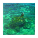 Search for turtle tiles Green