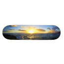 Search for sunset skateboards Coast