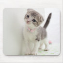 Search for baby animals electronics Mammal
