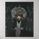 Search for emu posters Funny