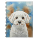 Search for gentleness notebooks Watercolor