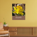 Search for yellow daffodil flowers posters Photography