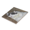 Search for resting tiles Cute