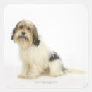 Search for purebred stickers Full length