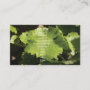 Search for grape vine business cards Grapes