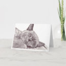Search for original drawing cards Cat