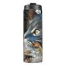 Search for norwegian forest cat mugs Kitty