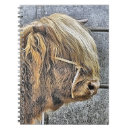 Search for cow notebooks Farms