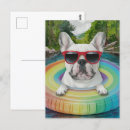 Search for funny bulldog postcards Colourful