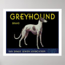 Search for kennel posters Canine