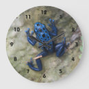 Search for frog clocks Animal