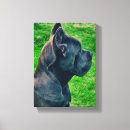 Search for cane corso art Puppy