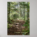 Search for adirondacks posters Trees