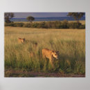 Search for nature walks posters Outdoors