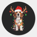 Search for beagle stickers Santa