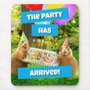 Search for mice keyboards Birthday