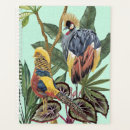 Search for bird of paradise Greenery