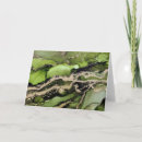 Search for metallic note cards Green
