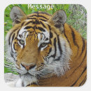 Search for tiger print stickers Wild animal