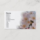 Search for cherry blossoms business cards White