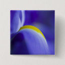 Search for iris badges Abstract