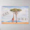 Search for reaching photography Reach for the sky