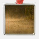 Search for adirondacks christmas tree decorations Usa