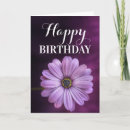 Search for purple daisy birthday cards Floral