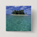 Search for belise badges Tropical