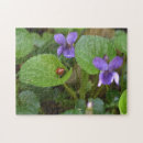 Search for ladybug puzzles Insect