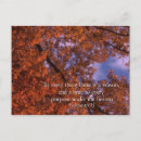 Search for ecclesiastes postcards Scripture