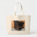 Search for andi bags Andy