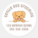 Search for pet grooming stickers Golden retriever