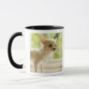 Search for side profile mugs Indoors