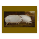 Search for pig anniversary cards Humour