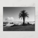 Search for bw postcards Ocean